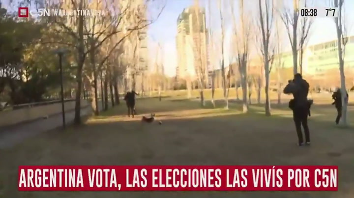 Alberto Fernández sacó a pasear a su perro Dylan antes de la elección - Fuente: C5N