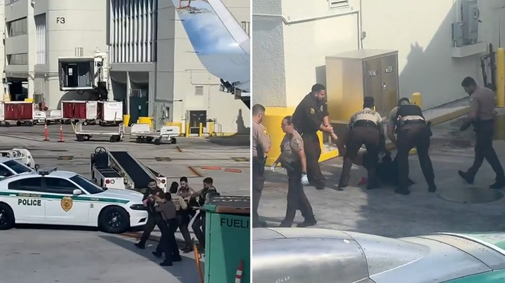 Moment plane passenger carried off flight after 'biting police'