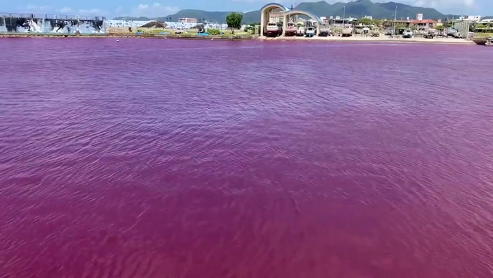Japan: Beer factory leak colours river blood red