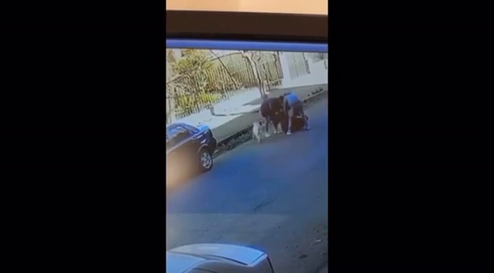 Bernal. Tres delincuentes golpearon a un jubilado para robarle el auto