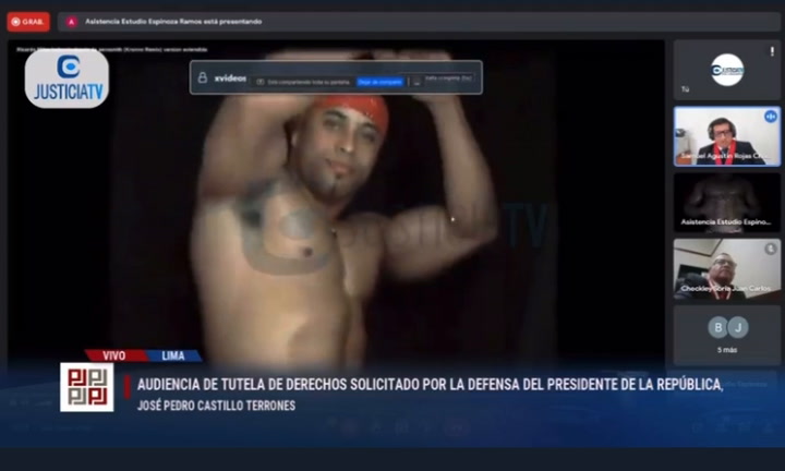 Video de Ricardo Milos aparece en audiencia virtual de tutela de derecho de  Pedro Castillo - Infobae