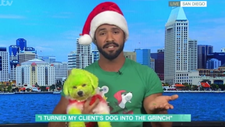 Dog dyed green to look like The Grinch features on This Morning