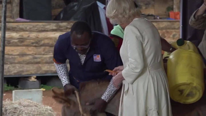 Queen feeds donkeys during visit to sanctuary in Kenya