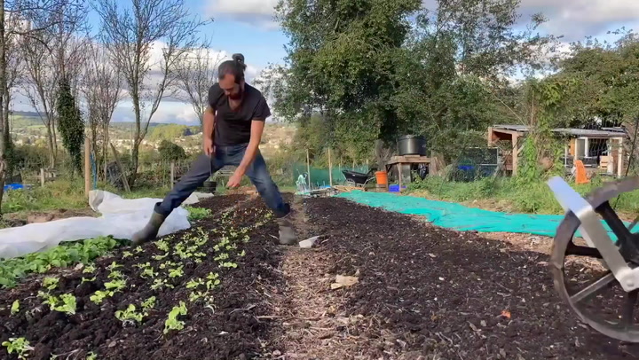 Young farmers use life savings to build eco-farm to inspire ‘cultural change'