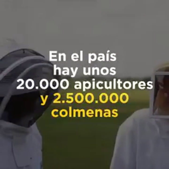 ¿Sabías que Argentina es el segundo proveedor mundial de miel?