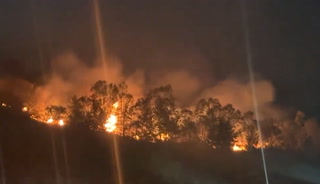 Nombre record de feux de forêt au Mexique