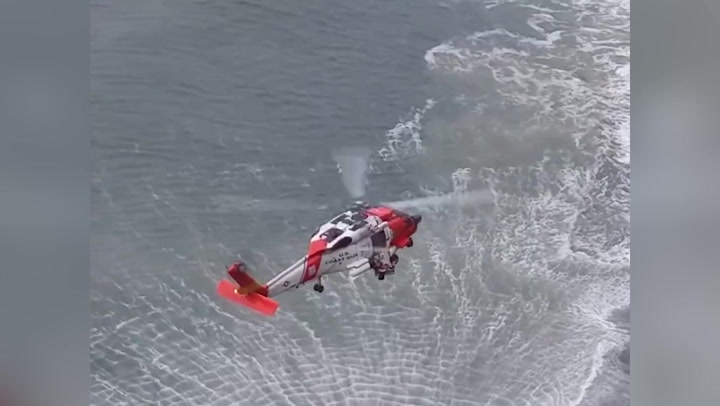 Dog that fell from cliff on Oregon coast rescued by helicopter crew
