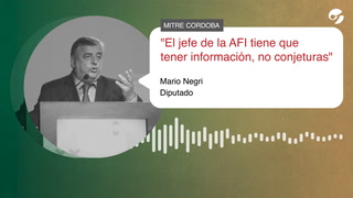 Mario Negri: "El jefe de la AFI tiene que tener información, no conjeturas"