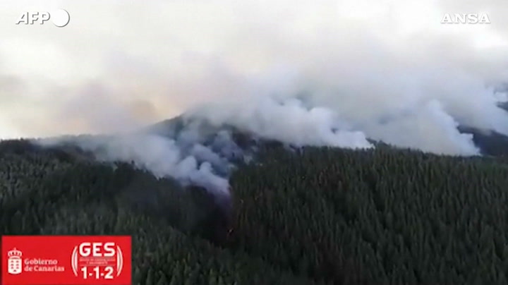 Maxi-Fire en la isla de Tenerife, España.  2.600 hectáreas en cenizas: «Este es el incendio más complejo de las últimas décadas»