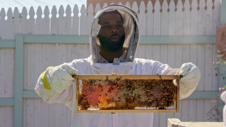 King Keraun Becomes A Professional Bee Keeper