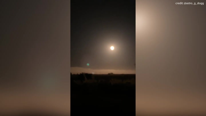 Sky lights up during Nasa's ground-breaking Dart spacecraft launch