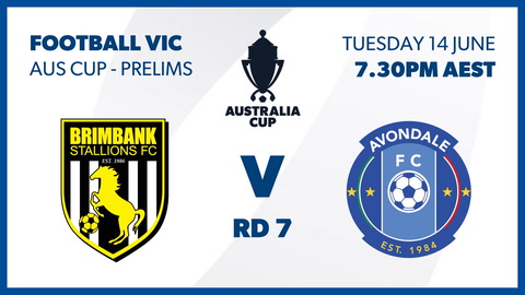 Brimbank Stallions FC v Avondale FC Melbourne - NPL Victoria