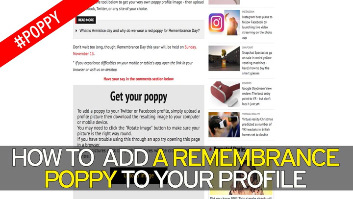 Profile picture poppy How to