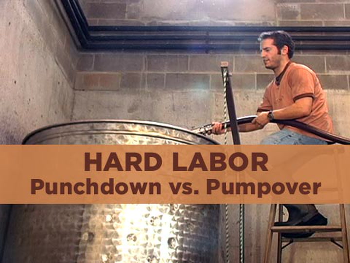 Hard Labor 7: Punchdown vs. Pumpover