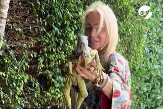 La divertida secuencia de Susana Giménez y su hija Mecha con una iguana