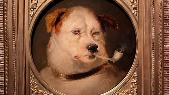 Portraits of Dogs: London exhibition explores human devotion to four-legged friends