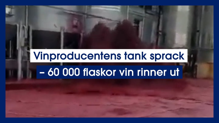 Vinproducentens tank sprack – 60 000 flaskor vin rinner ut