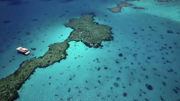 Australia invertirá millones para salvar Gran Barrera de Coral - Fuente: AFP