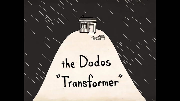 Shows: Music Video Premiere: The Dodos "Transformer" Exclusive
