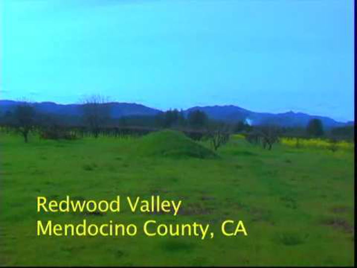 A Taste of Redwood Valley