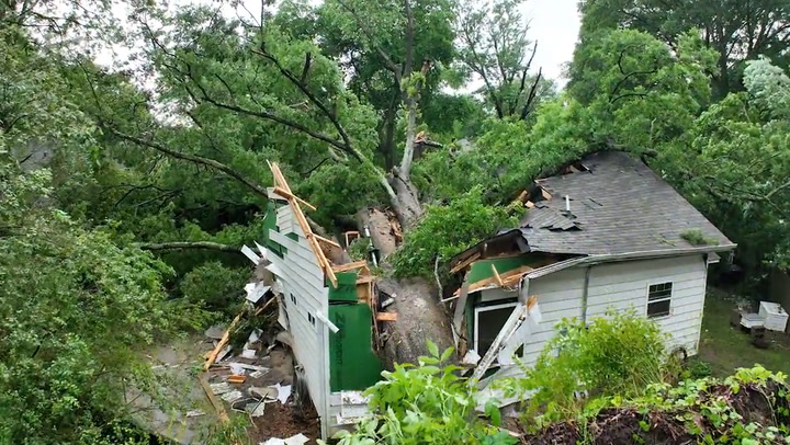 600-year-old oak tree splits house in half in Arkansas