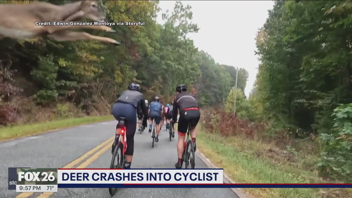 Deer crashes into cyclist in South Carolina