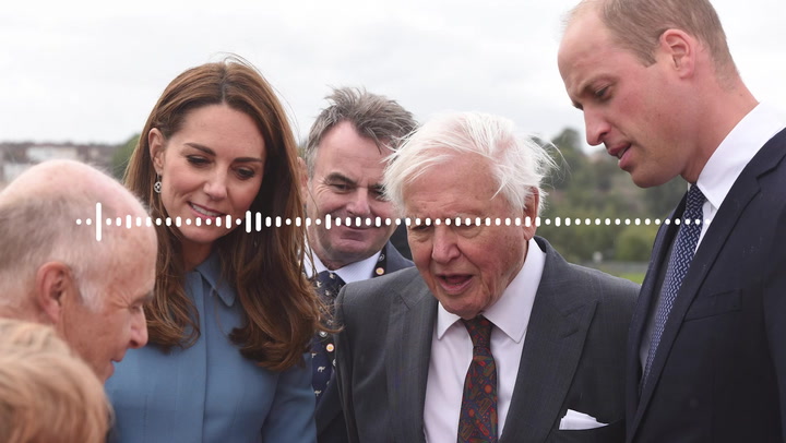 Prince William talks David Attenborough's 'kick ass' voice and Earthshot prize