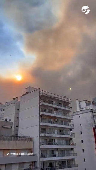 La denuncia del intendente de Rosario por los incendios intencionales en Entre Ríos: "Actúen jueces"