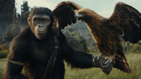 'Kingdom of the Planet of the Apes' Teaser Trailer