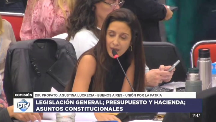 El exabrupto de una diputada kirchnerista durante el debate de la Ley Bases en comisión: “En criollo”