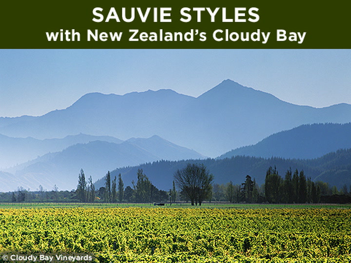 Sauvie Styles: New Zealand's Cloudy Bay w/Worksheet