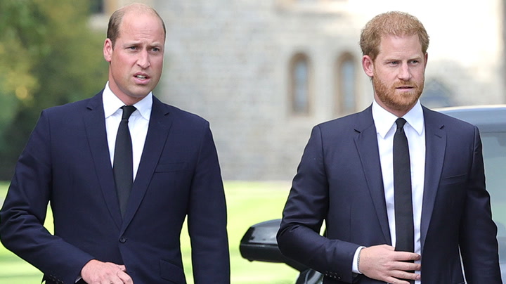 Prince Harry accuses royal family of ‘horrible reaction’ on day of Queen's death