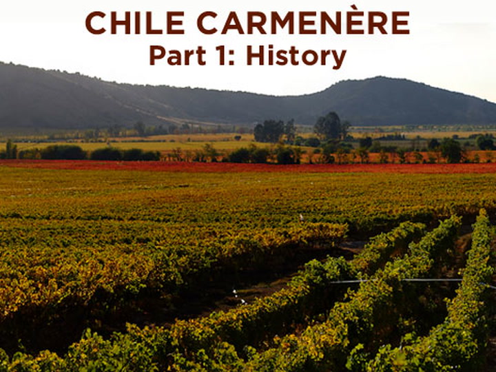 Chile Carmenere, 1: History w/ Worksheet