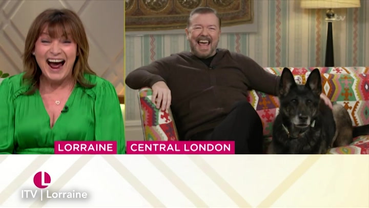 Ricky Gervais leaves ITV viewers crying with laughter as After Life co-star  howls 'Lorraine' live on air - Wales Online