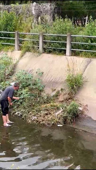 Un hombre se tiró a un arroyo para salvar a una perra que había caído hace 3 días