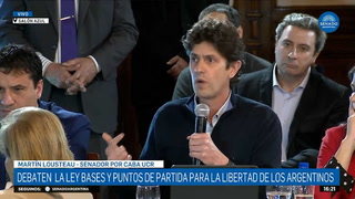 Ley Bases. Martín Lousteau, sobre el RIGI: "El cepo va a continuar por mucho más tiempo porque si no no habría que poner una ley por 30 años"