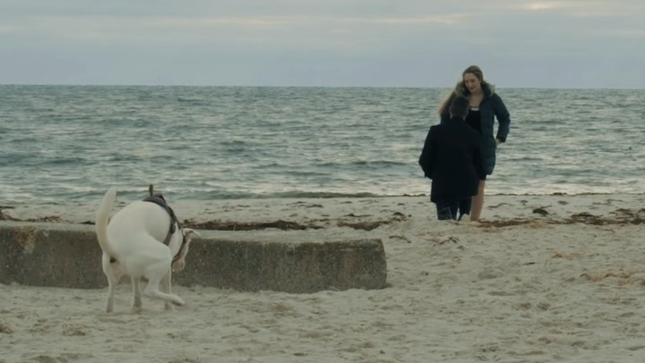 Moment Dog Interrupts Couple's Romantic Beach Proposal