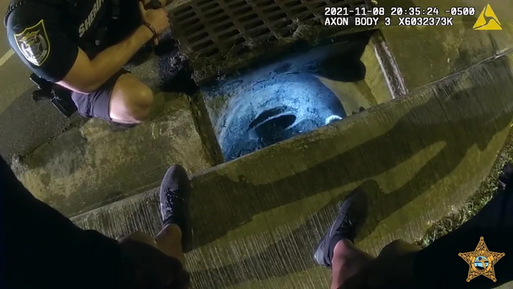 Stranded kitten rescued from storm drain by Florida police