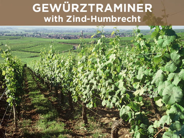Great Gewürztraminer! with Zind-Humbrecht
