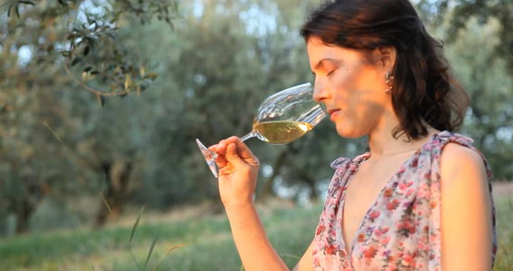 Video Contest 2016 Honorable Mention: Wine's Wonders 