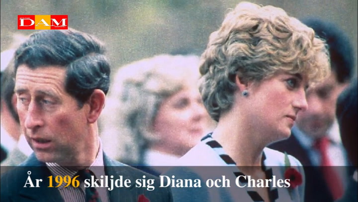 20 år sedan prinsessan Diana dog
