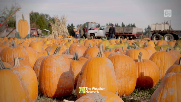 WHAT ARE CANADIANS LOOKING FORWARD TO THE MOST THIS FALL?