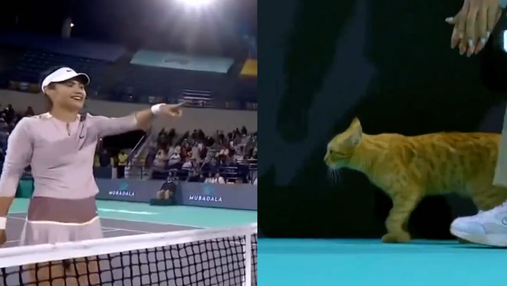 Emma Raducanu bursts into laughter after cat invades court at Abu Dhabi Open