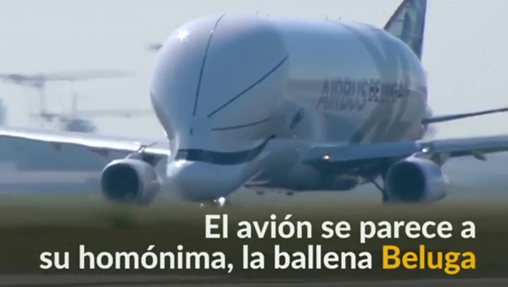 Avión de carga Beluga XL de Airbus realiza su primer vuelo - Fuente: Reuters