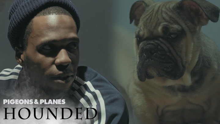 Curren$y Gets Interviewed By Puppies | Hounded