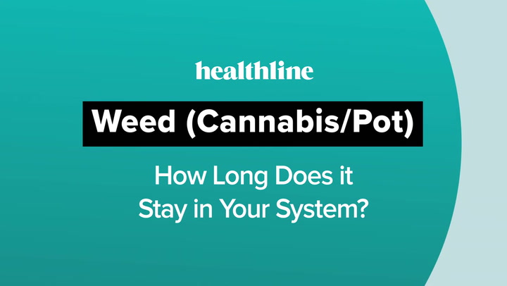 How Long Does THC Stay in Your System? - Point-of-care saliva based  diagnostic platform