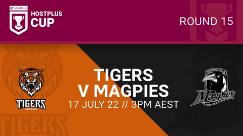 Brisbane Tigers - HPC v Souths Logan Magpies - HC