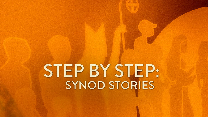 Step by Step: Synod Stories