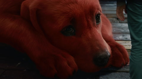 'Clifford the Big Red Dog' Trailer 2