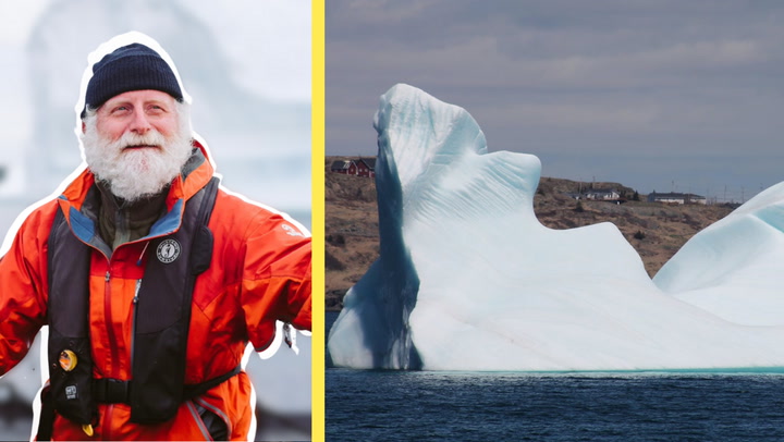 ICEBERGS BEGIN ANNUAL PARADE IN N.L., AND THIS YEAR WILL BE A BUSY ONE